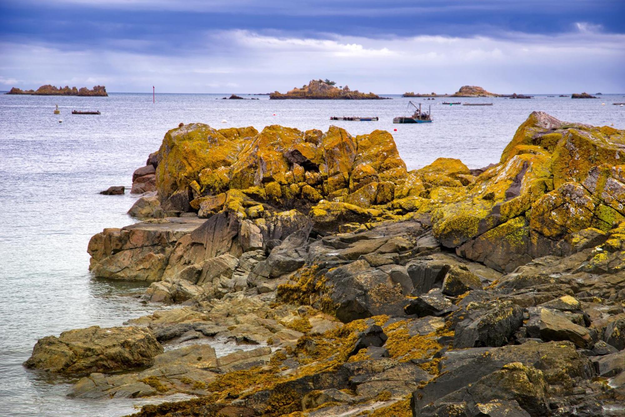 Gite Paimpol Le Loarwenn 외부 사진