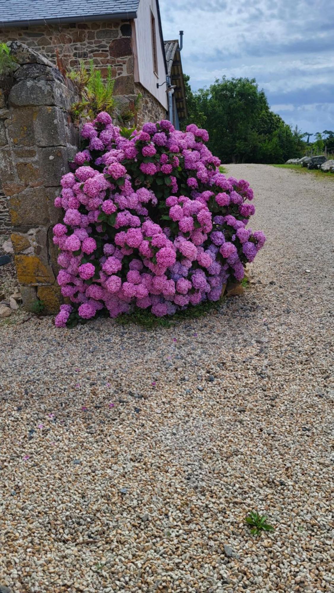 Gite Paimpol Le Loarwenn 외부 사진