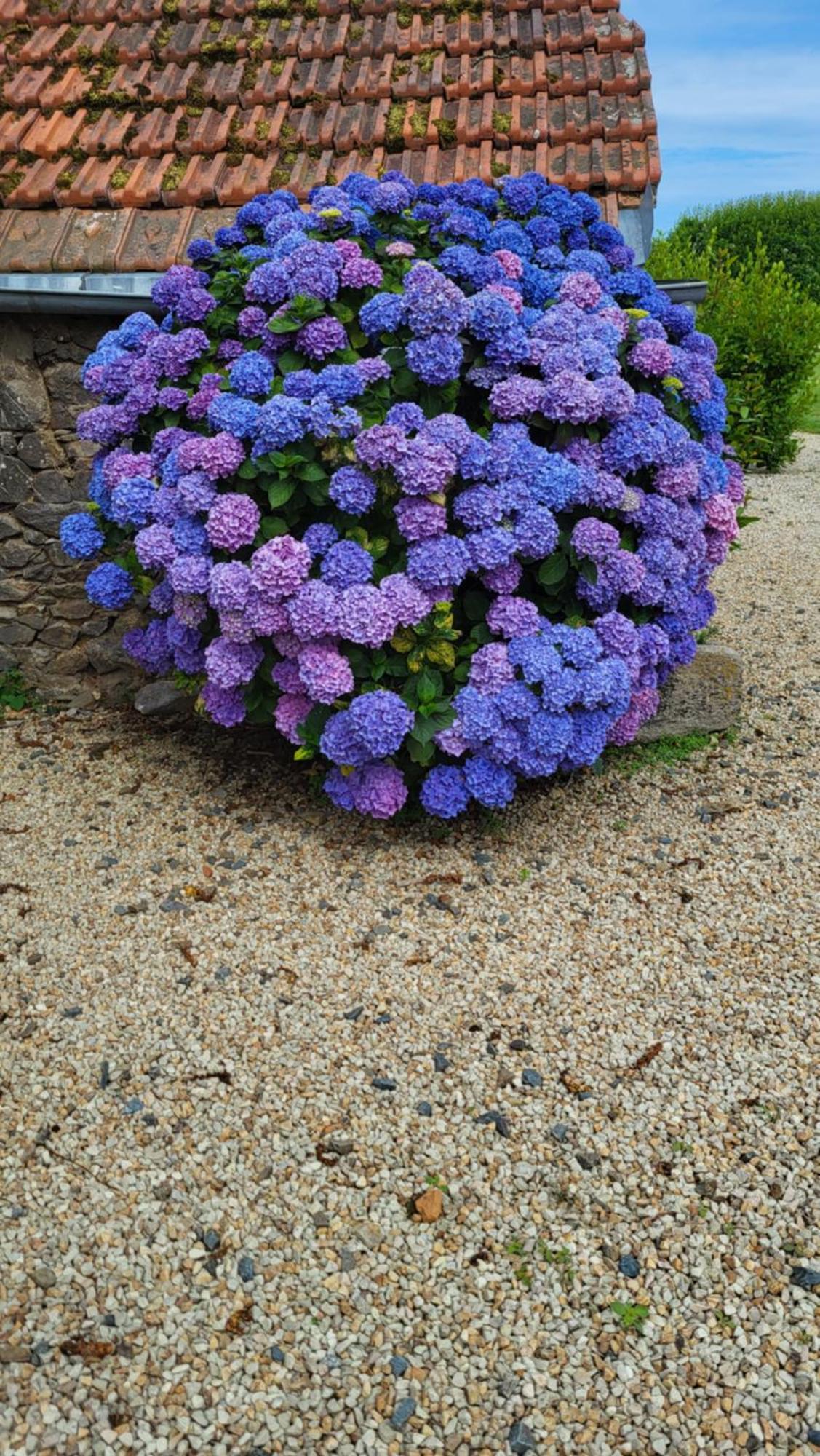 Gite Paimpol Le Loarwenn 외부 사진